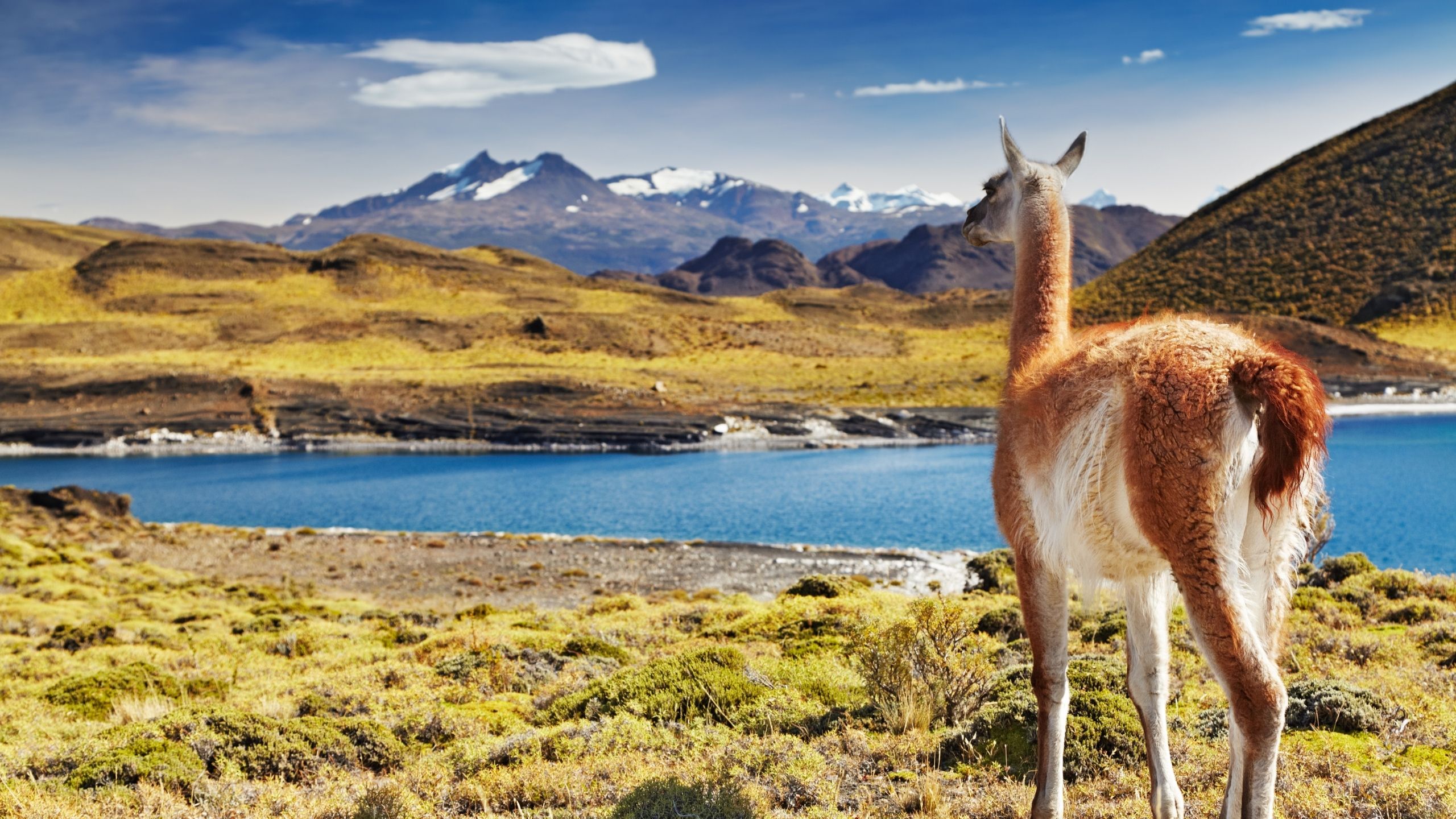 南極探險冰原